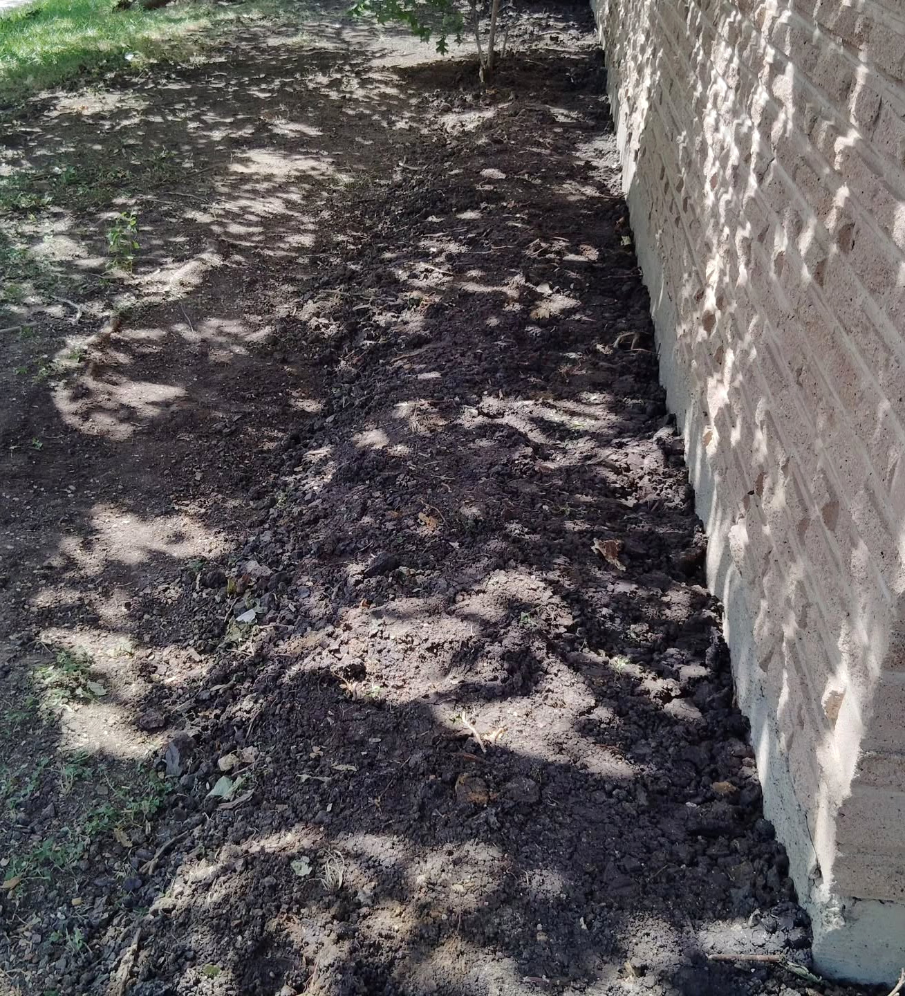 Restored soil and grass along a repaired foundation line